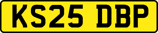 KS25DBP