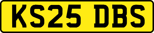 KS25DBS