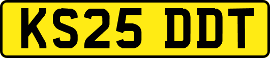 KS25DDT