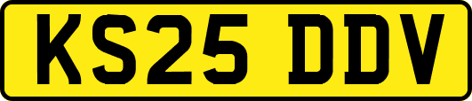 KS25DDV