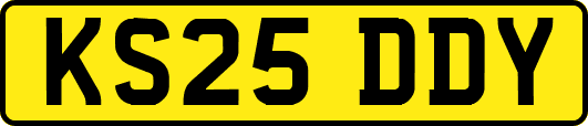 KS25DDY