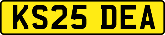 KS25DEA