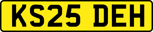 KS25DEH