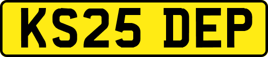 KS25DEP