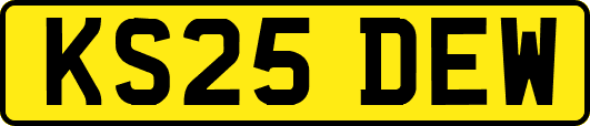 KS25DEW