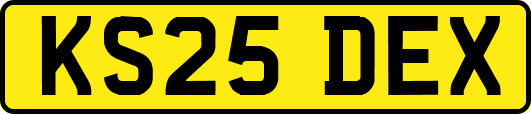 KS25DEX