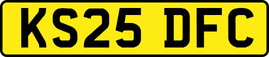 KS25DFC