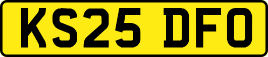 KS25DFO