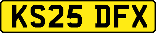 KS25DFX