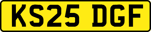 KS25DGF