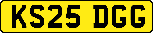 KS25DGG