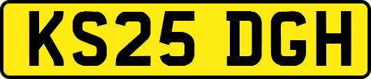KS25DGH