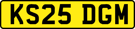 KS25DGM