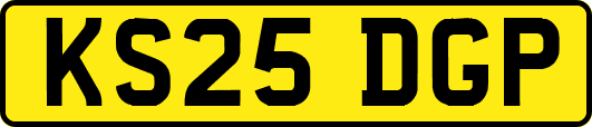 KS25DGP