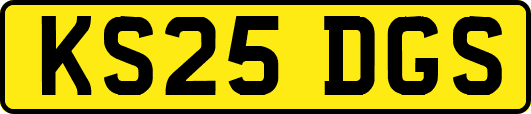 KS25DGS