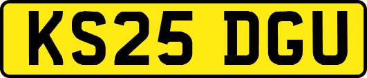 KS25DGU