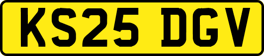 KS25DGV