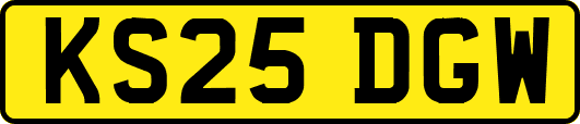 KS25DGW
