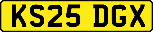 KS25DGX