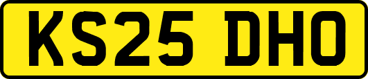 KS25DHO
