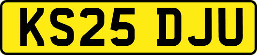 KS25DJU