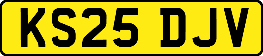 KS25DJV