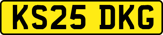 KS25DKG