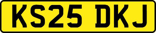 KS25DKJ