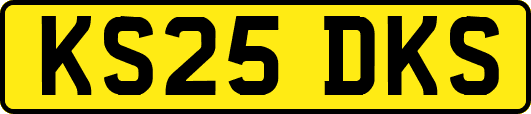 KS25DKS
