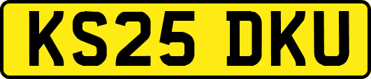 KS25DKU