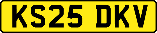 KS25DKV