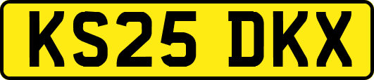KS25DKX