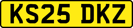 KS25DKZ