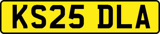 KS25DLA