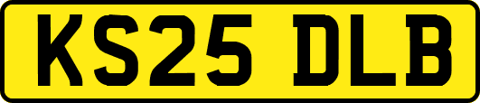 KS25DLB