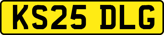 KS25DLG