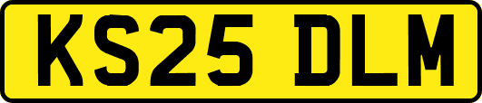 KS25DLM