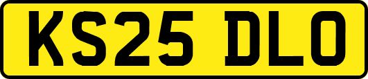 KS25DLO
