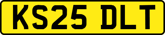 KS25DLT