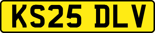 KS25DLV