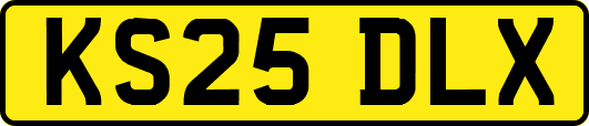 KS25DLX