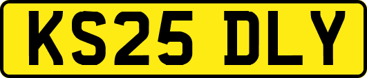 KS25DLY