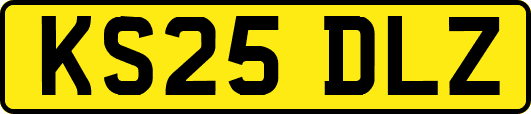 KS25DLZ