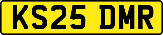 KS25DMR