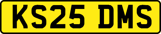 KS25DMS