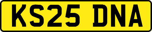 KS25DNA