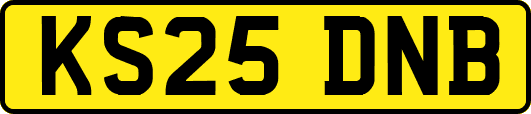 KS25DNB