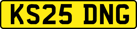 KS25DNG