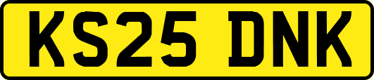 KS25DNK