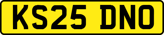 KS25DNO